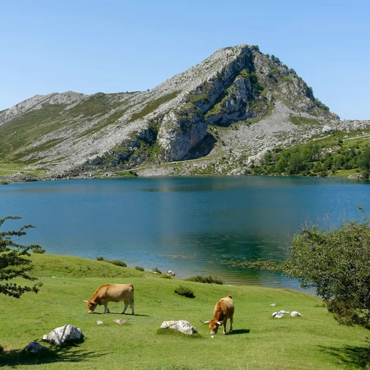Retiro de bienestar y senderismo en Asturias